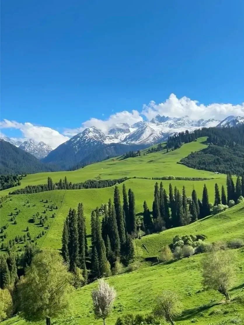 伊利已回，说点得罪人的大实话吧😭__3_忘记过往_来自tour520旅游攻略